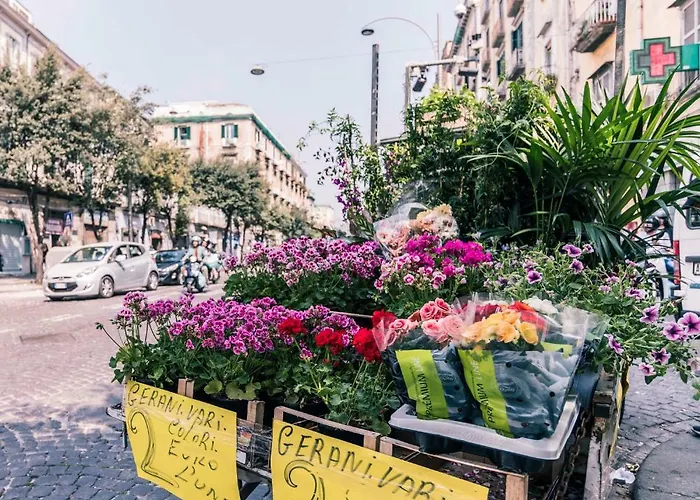 Apartment St. Teresa Museum *