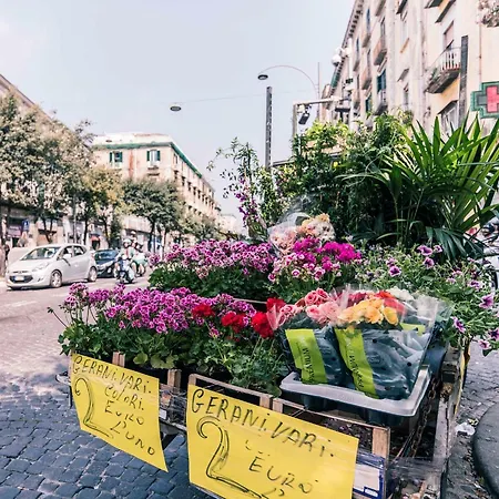 Lägenhet St. Teresa Museum *